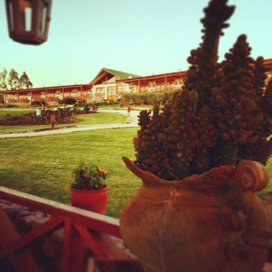 Hacienda Santa Cristina Hotell Ovalle Eksteriør bilde