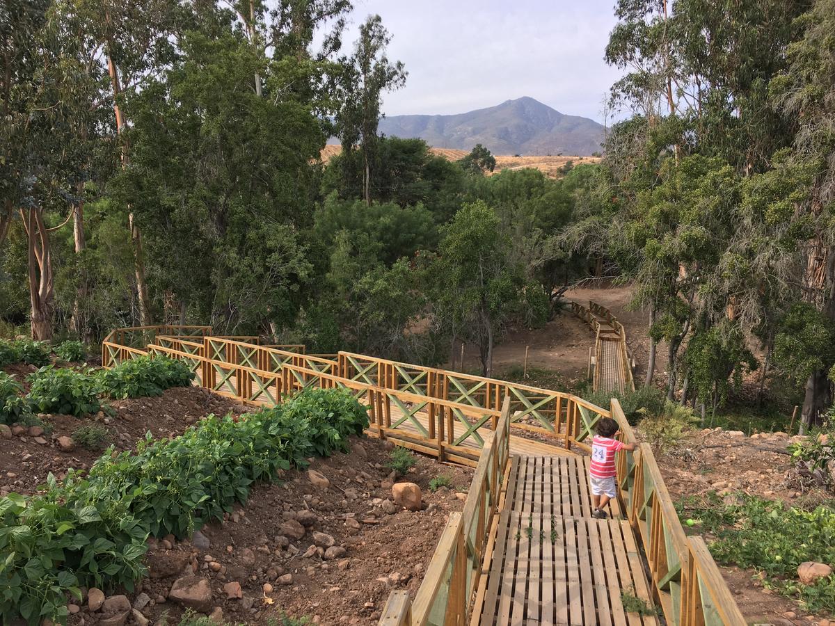 Hacienda Santa Cristina Hotell Ovalle Eksteriør bilde