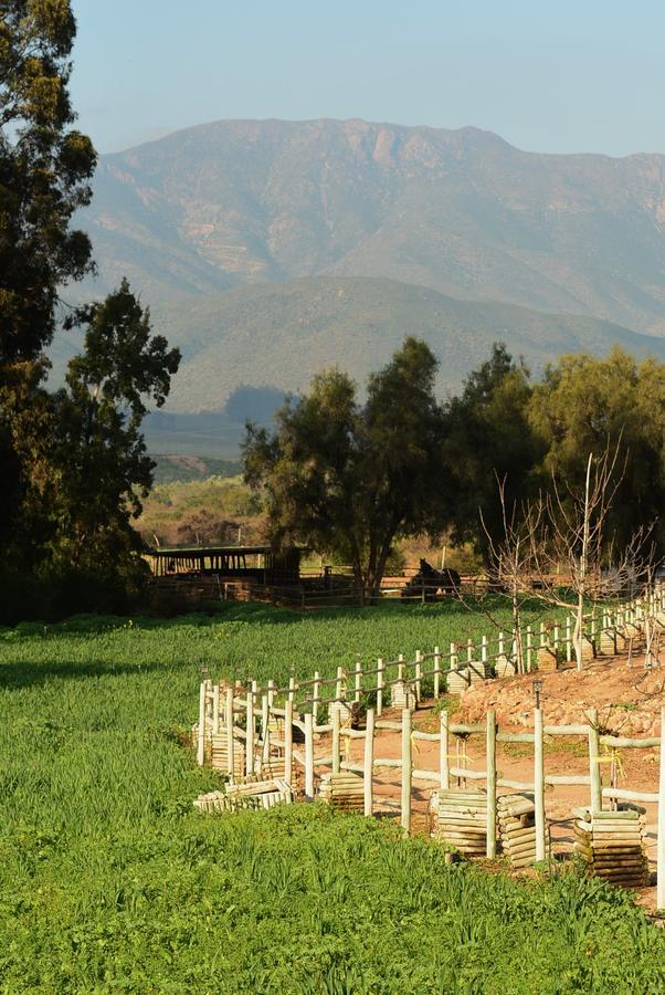 Hacienda Santa Cristina Hotell Ovalle Eksteriør bilde