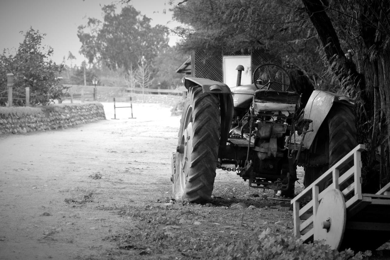 Hacienda Santa Cristina Hotell Ovalle Eksteriør bilde